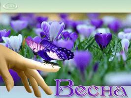 Новости АН Алекс: ВЕСНА ПРИШЛА, ВЕСНЕ ДОРОГУ! 