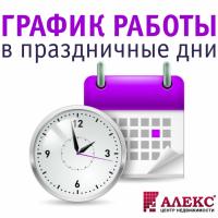 Новости АН Алекс: График работы на ноябрьские праздники!